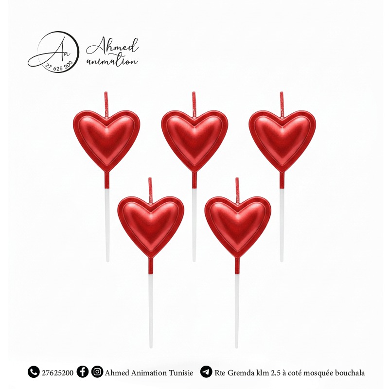 WhatsApp Image 2026-01-21 at 15.08.55